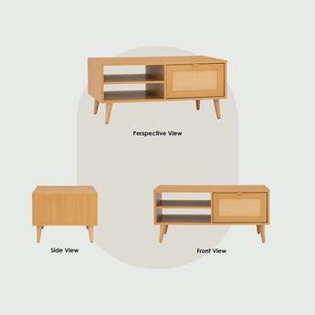 🟢 IN STOCK DUDLEY COFFEE TABLE