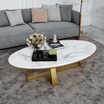 Raya Marble Top Stainless Steel Frame Modern Luxury Coffee Table