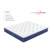 QUEEN-SIZE-SPRING-MATTRESS