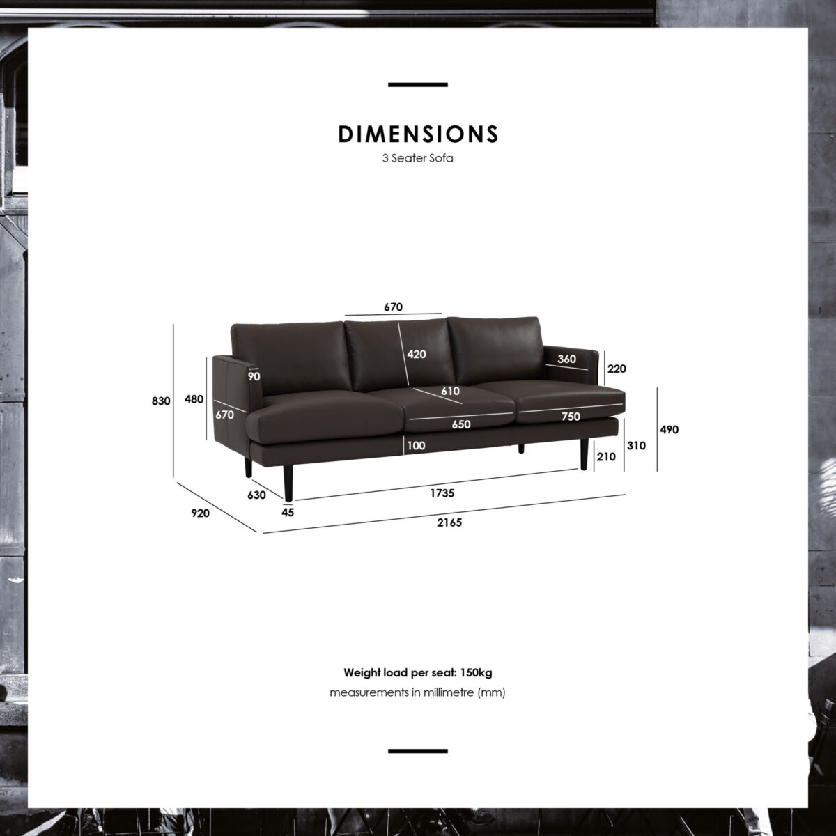 3 Seater Soga Daxter - Image 5