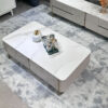 1.3M Elysia Solid Marble Stone Coffee Table - Image 5